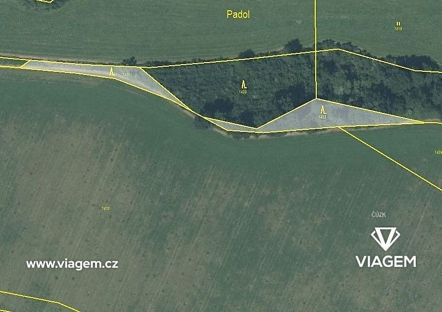 Les · Suchdol nad Odrou, okres Nový Jičín, Moravskoslezský kraj - 3