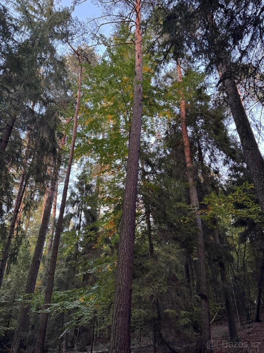 Pozemky pro bydlení, Velká Polom, 747 64