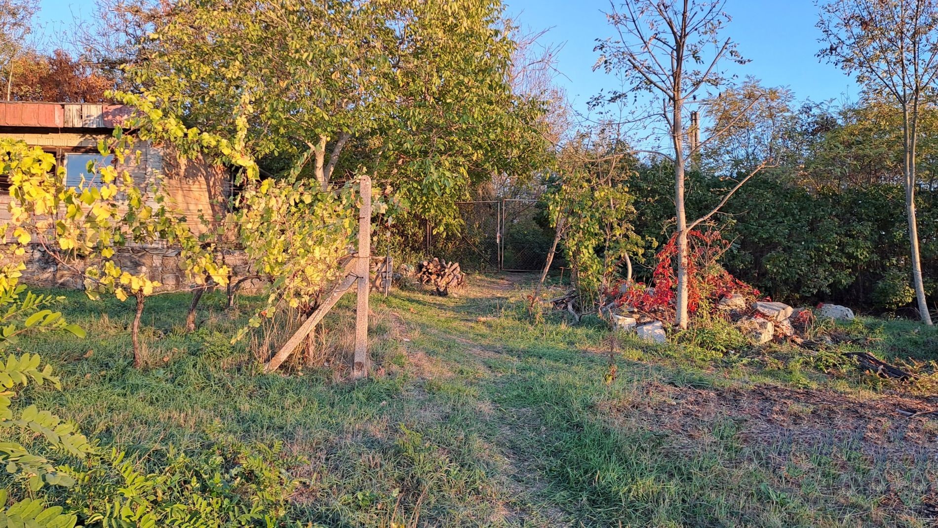 Chalupa · 40 m² · Dolní Kounice - 2