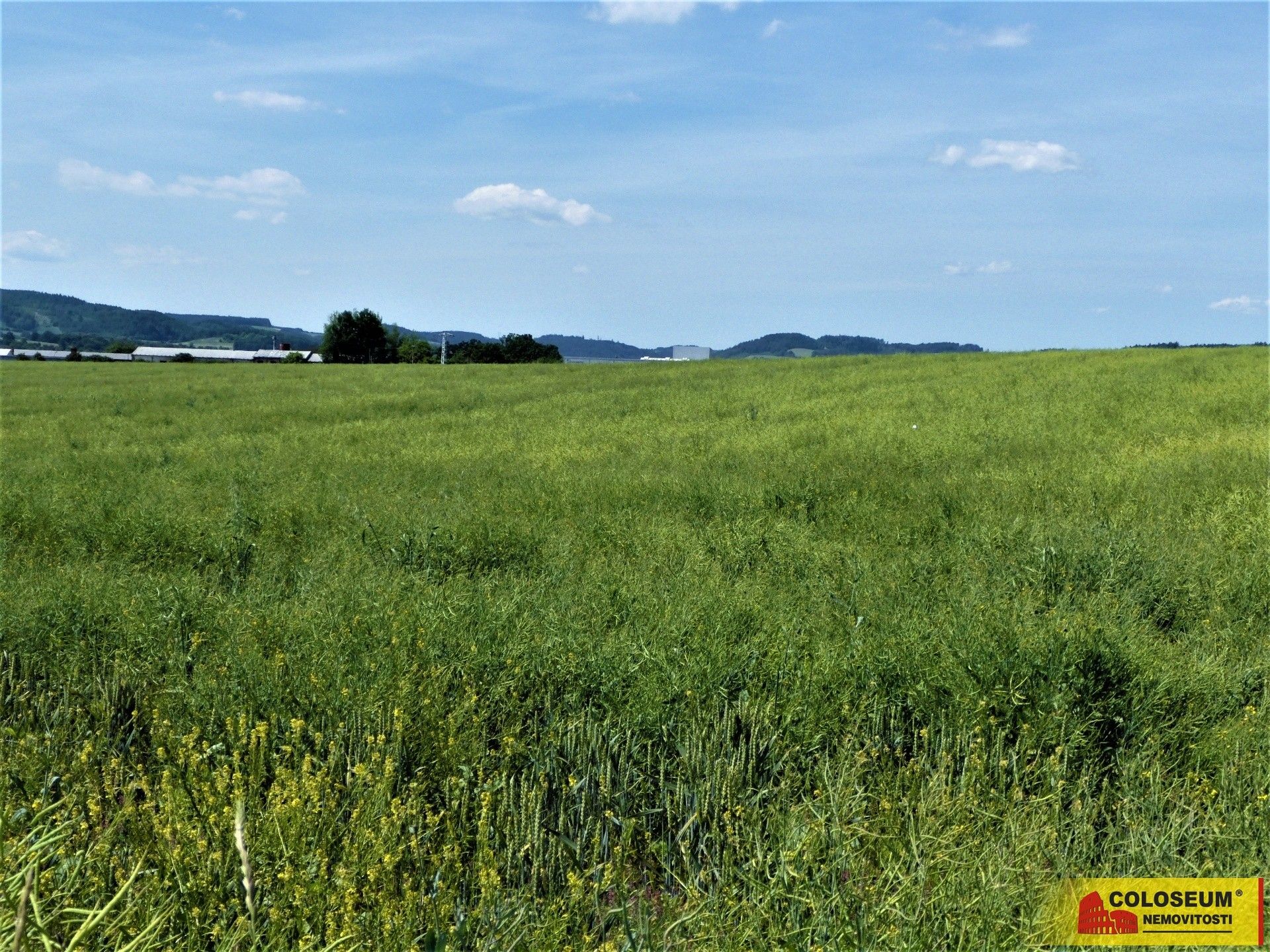 Zemědělský pozemek · Letovice - 3