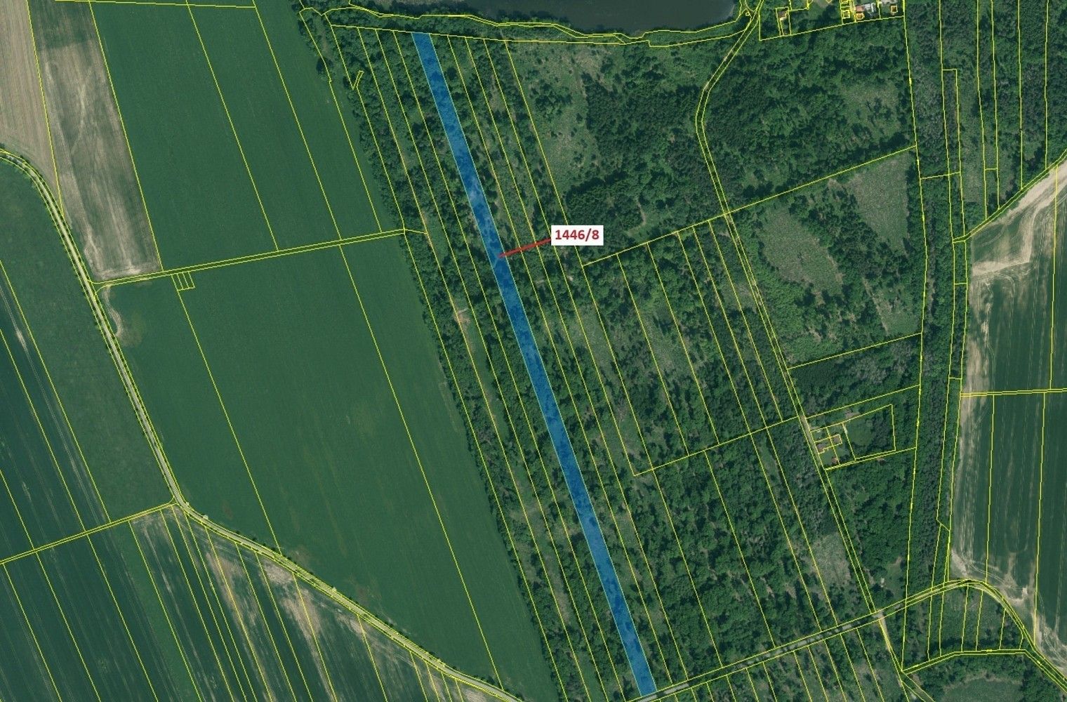 Les · Břehov, okres České Budějovice, Jihočeský kraj - 2