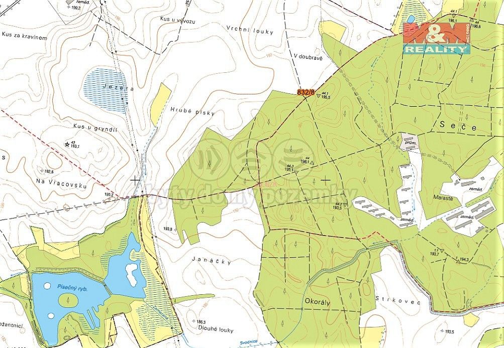 Prodej les - Skoronice, okres Hodonín, Jihomoravský kraj - 5