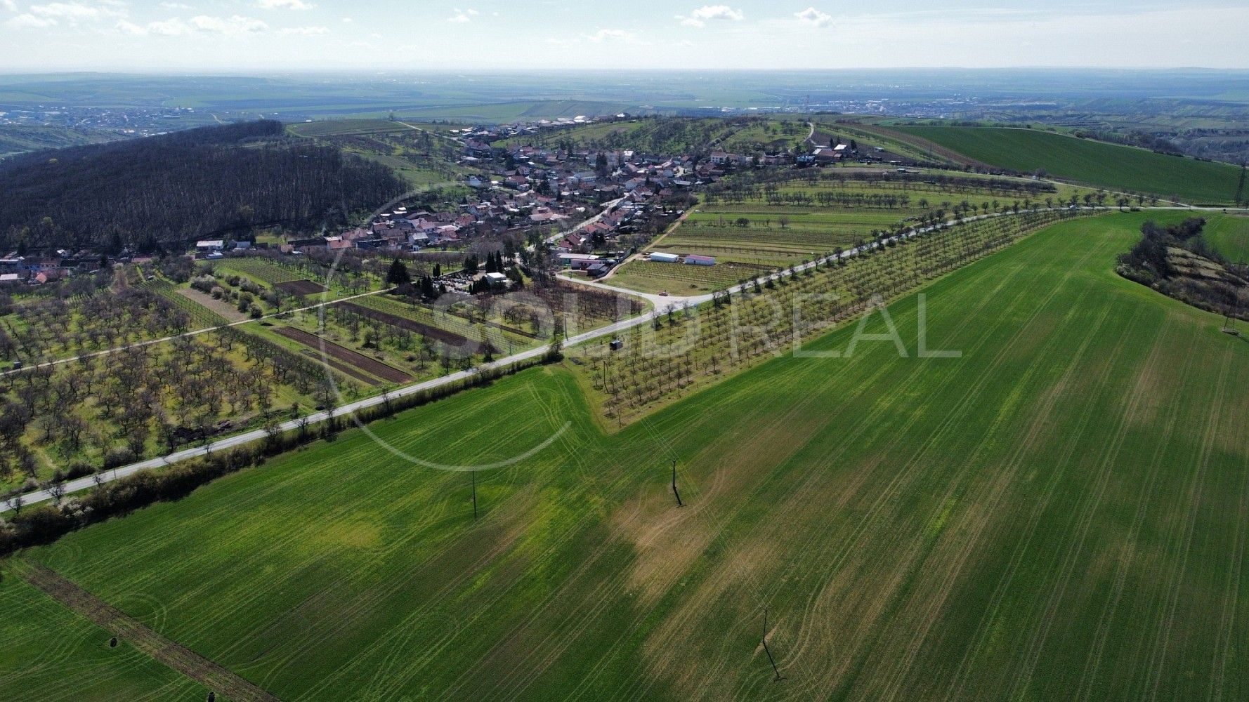 Zemědělský pozemek · Horní Bojanovice, okres Břeclav, Jihomoravský kraj - 4
