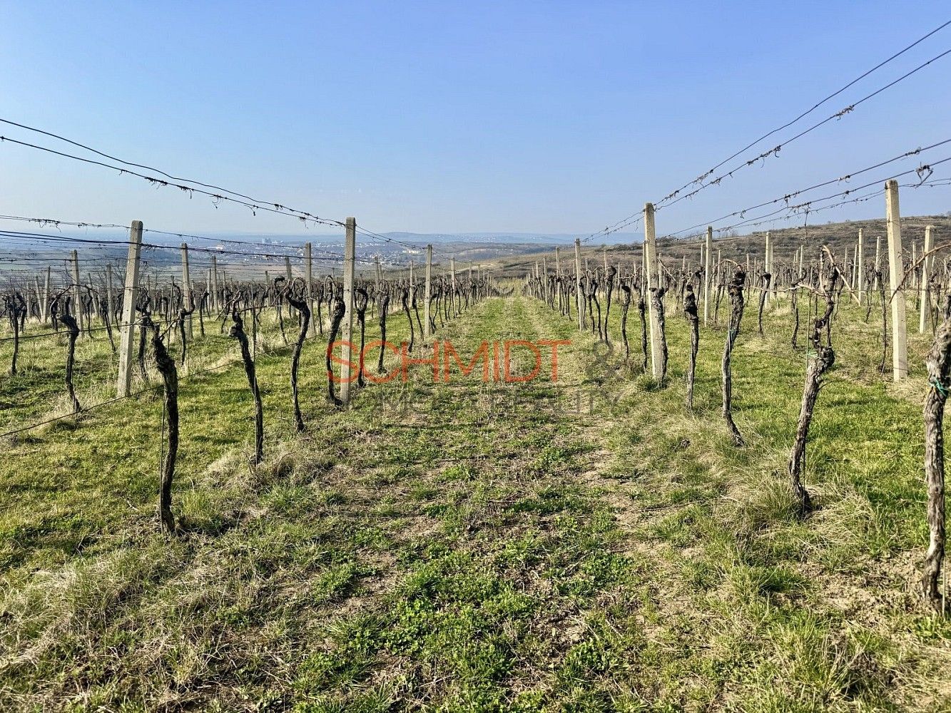 Pozemek · Němčičky, okres Břeclav, Jihomoravský kraj - 4