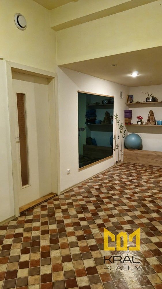 Pronájem obchodní prostory - Praha - Žižkov, okres Praha 3, Hlavní město Praha, 15 m² - 5