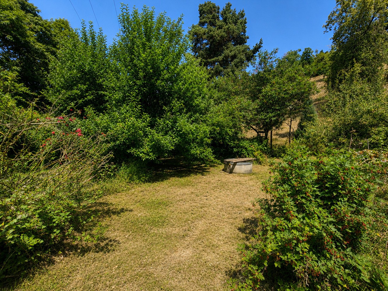 Prodej chalupa - Ohrozim, okres Prostějov, 40 m² - 5