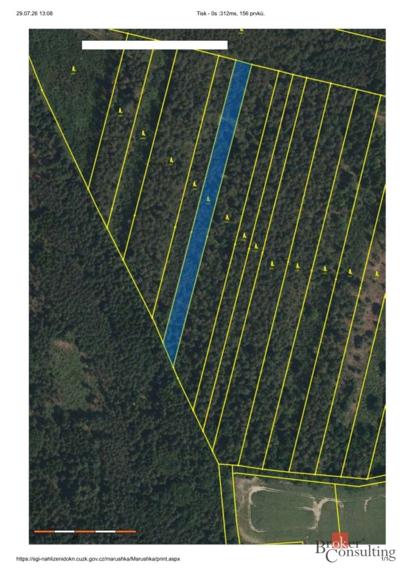 Lesy, Břilice, Třeboň, 32 388 m² - 2