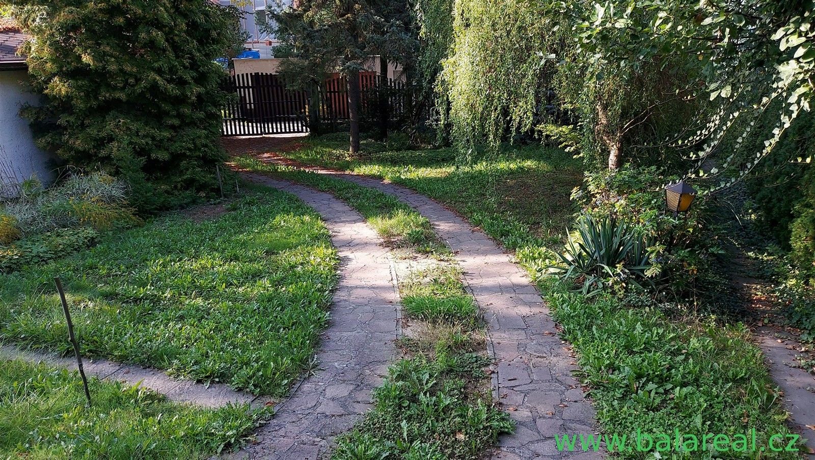 Pronájem ostatní - Muškátová, Brno, 20 m²