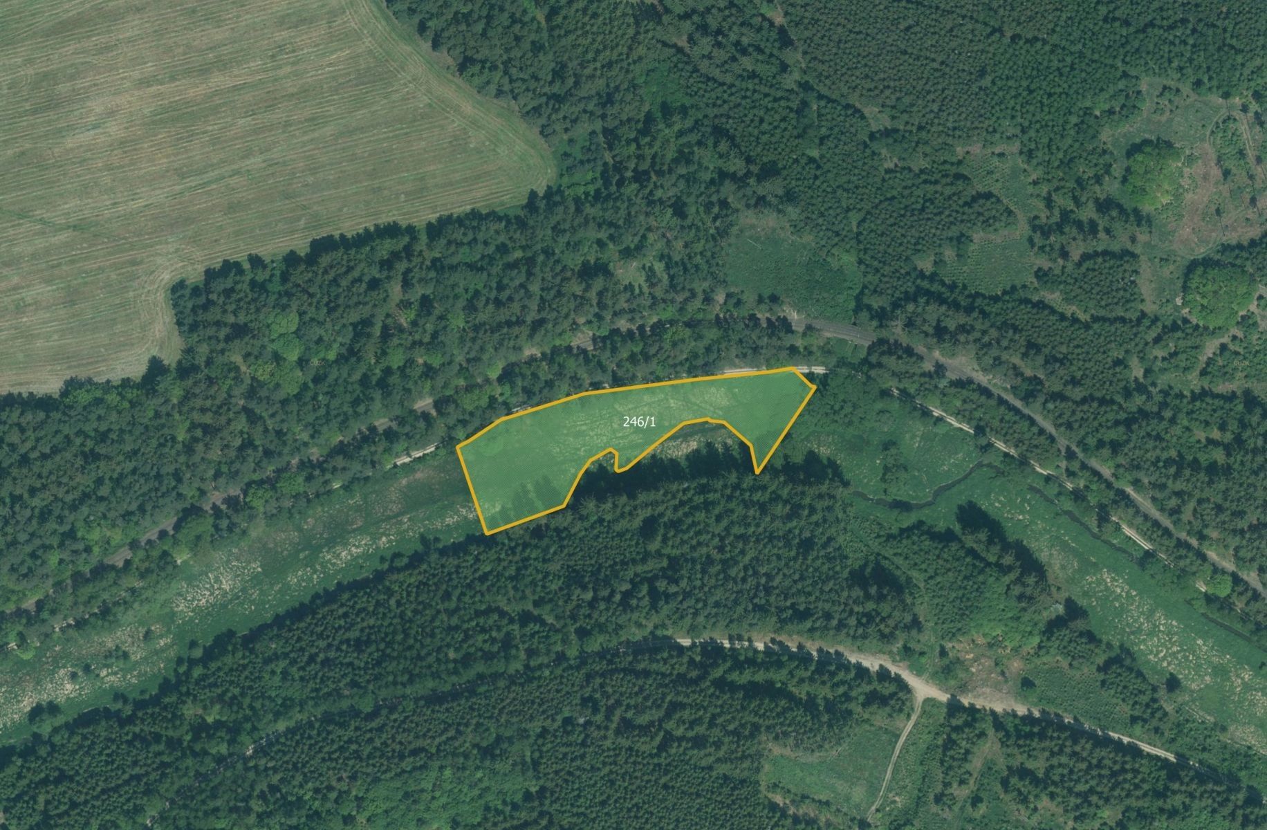 Louky, Skviřín, Bor