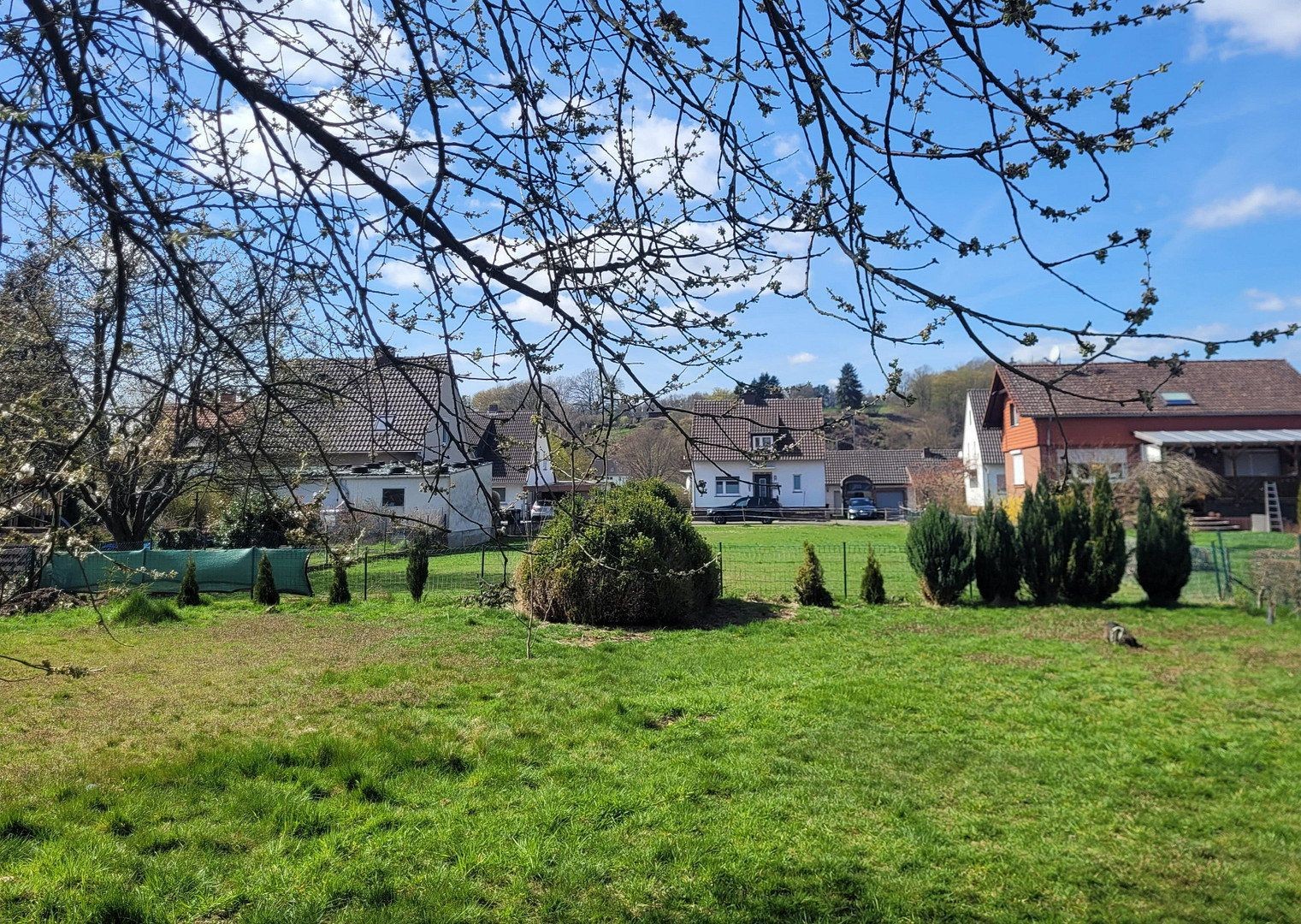Rodinný dům · 155 m² · , Dolní Sasko - 4