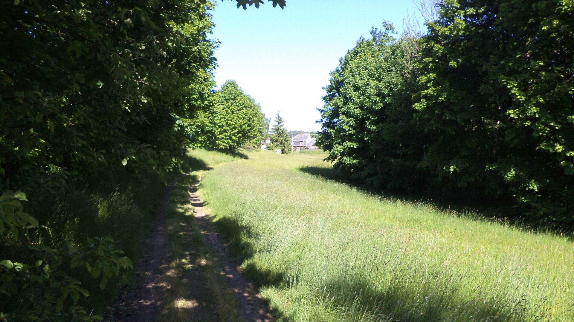 Pozemek pro bydlení · 1 188 m² · Staré Křečany - 3