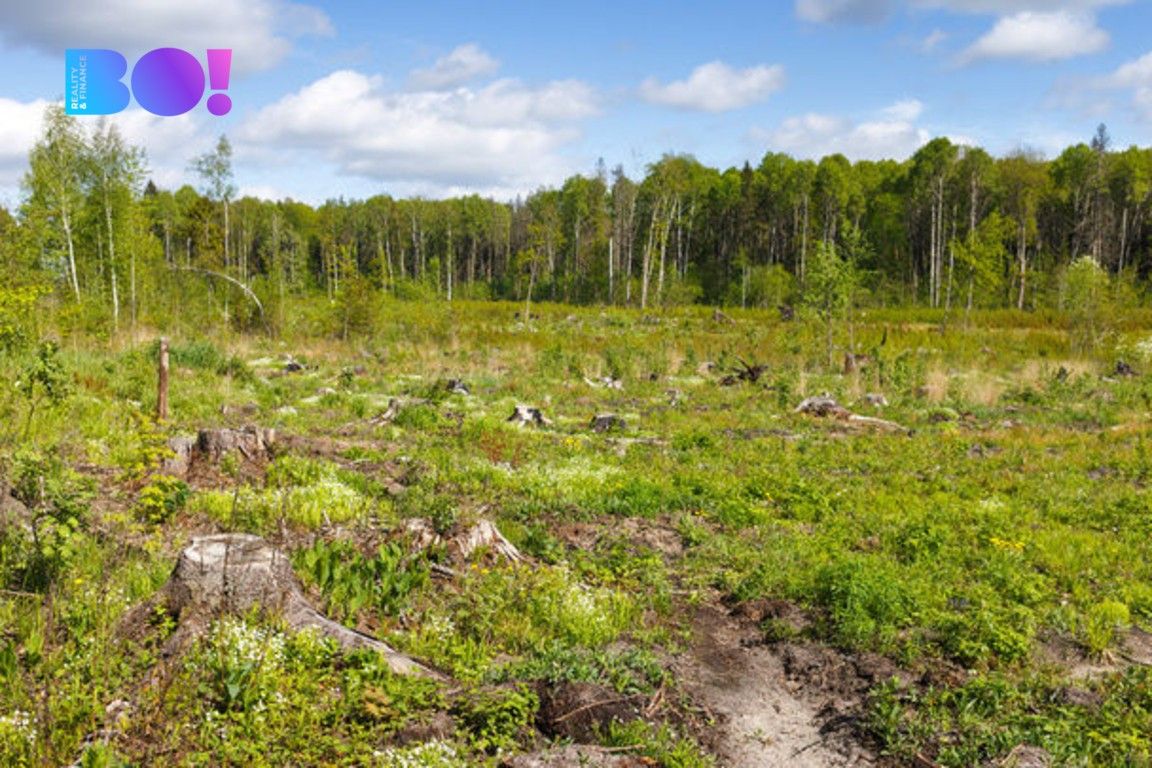 Lesy, Krásná, 16 m²