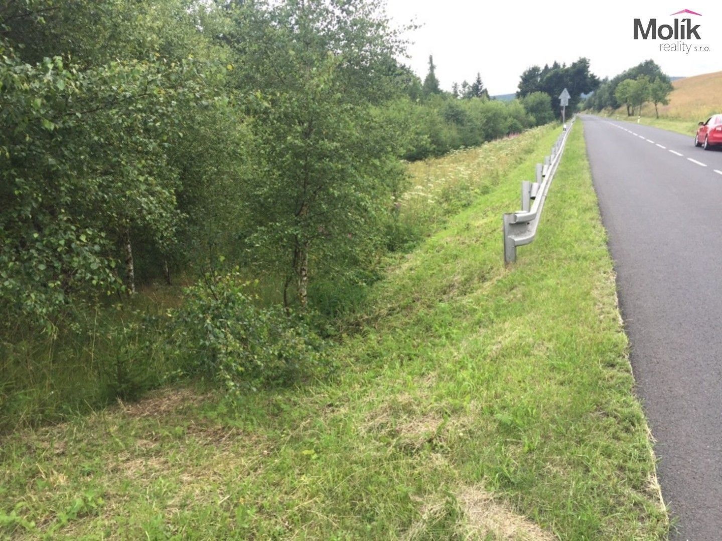 Komerční pozemek · 8 803 m² · Háj, Loučná pod Klínovcem - 4