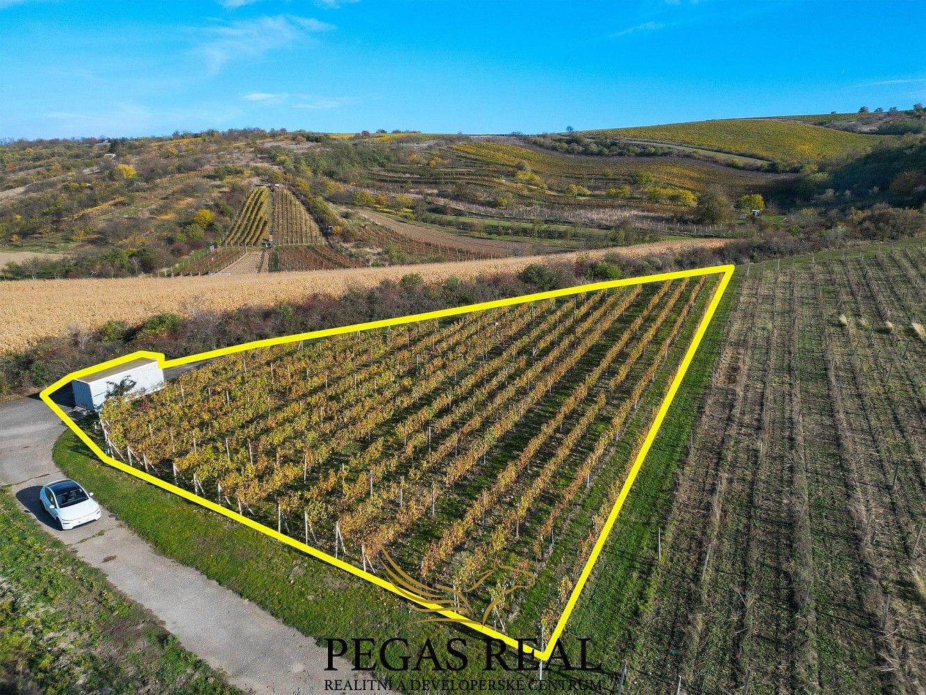 Prodej ostatní - Starovice, okres Břeclav, Jihomoravský kraj, 64 m² - 5
