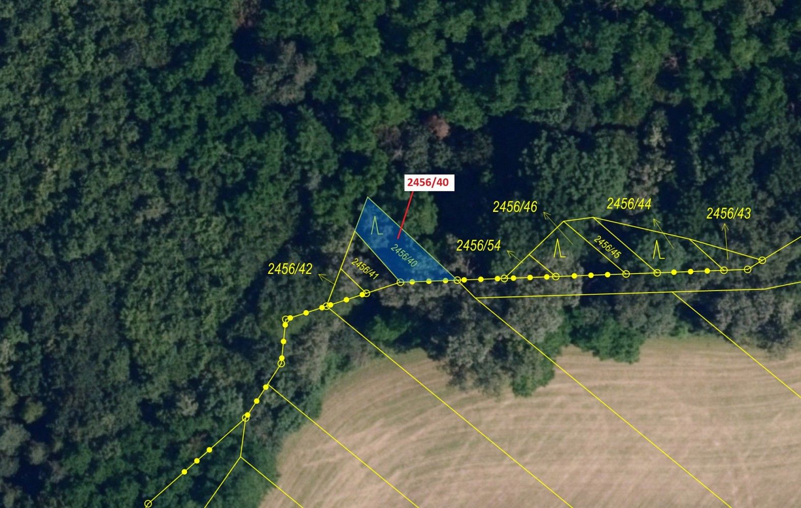 Prodej les - Nová Ves - 2