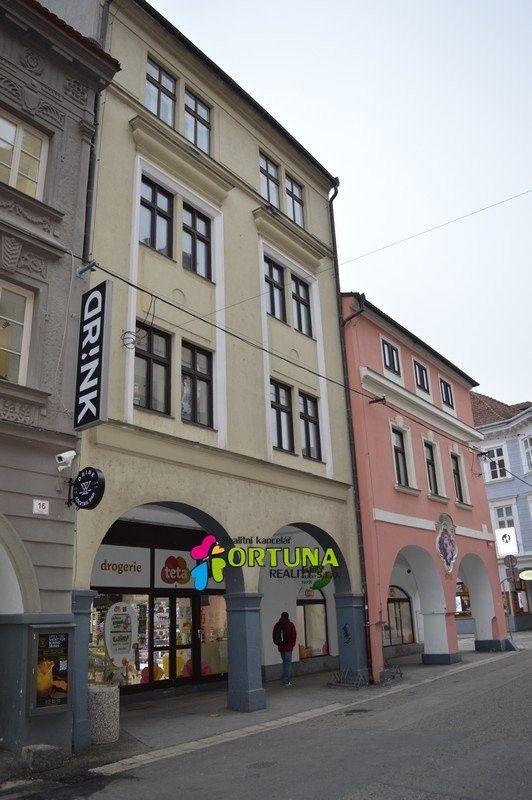 Prodej činžovní dům - Krajinská, České Budějovice, 1 563 m²