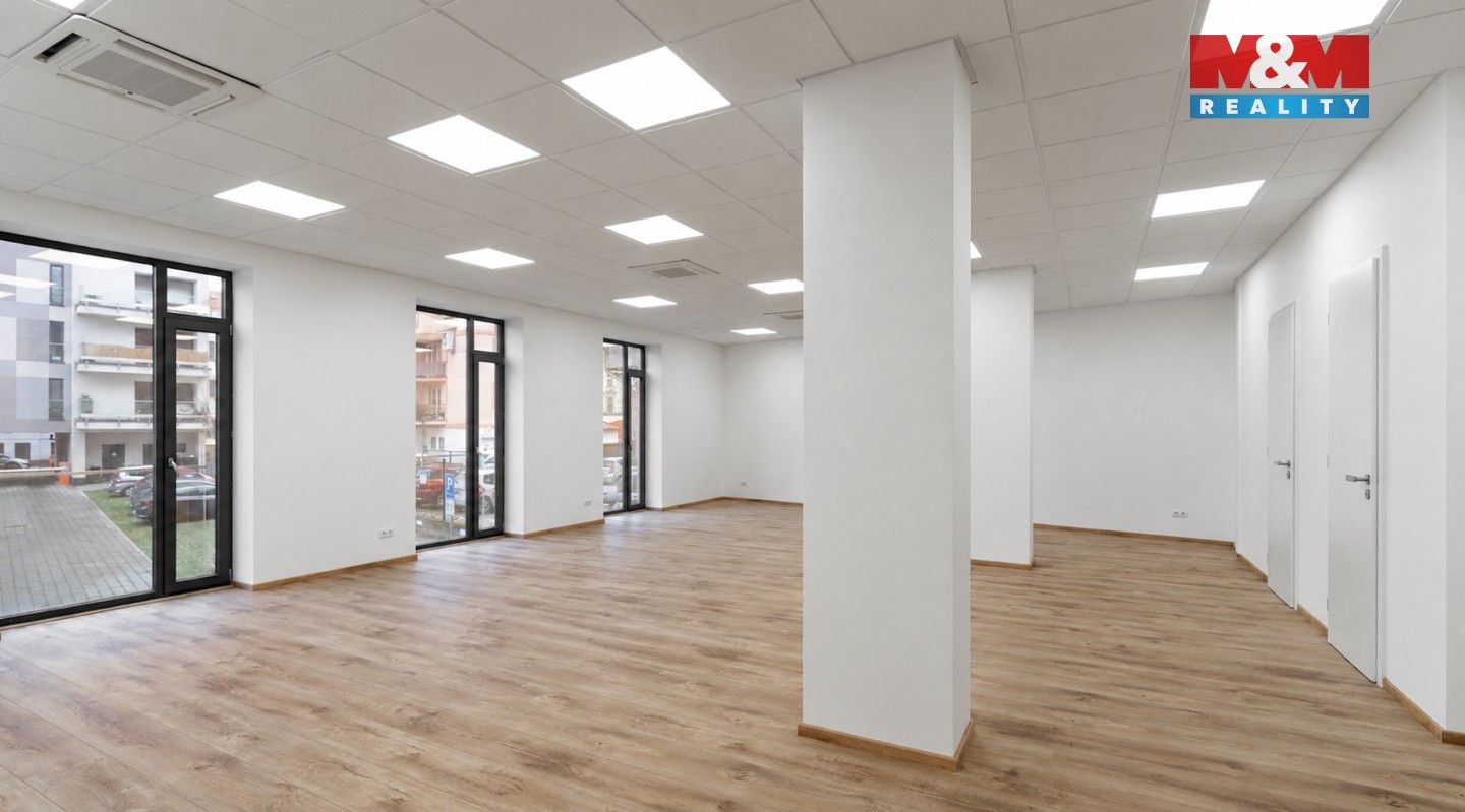Kancelář · 139 m² · Otýlie Beníškové, Plzeň - 4