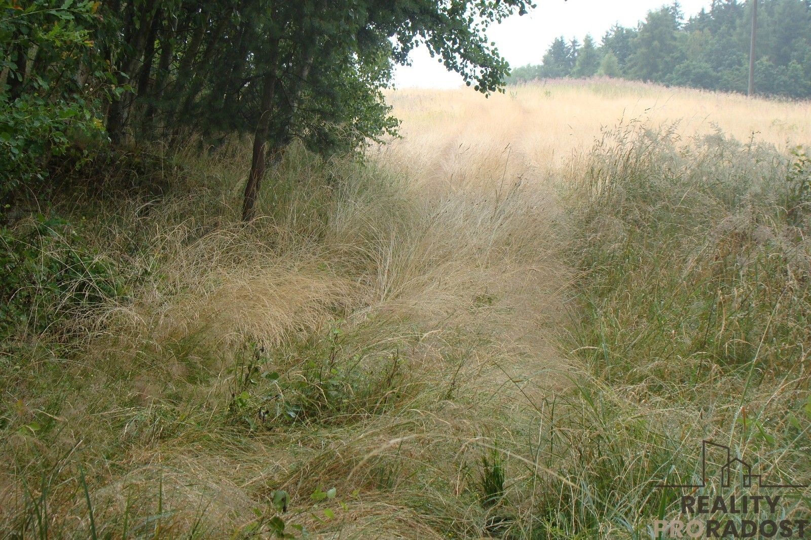 Zahrada · 2 000 m² · Krušovice - 3