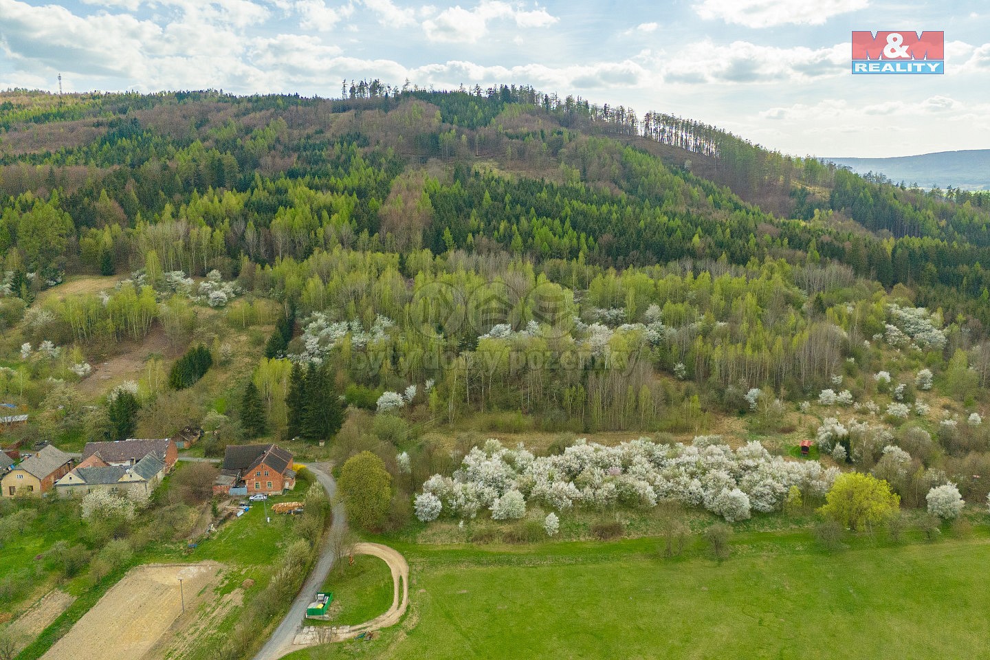 Prodej zemědělský pozemek - Staré Město, okres Svitavy - 5
