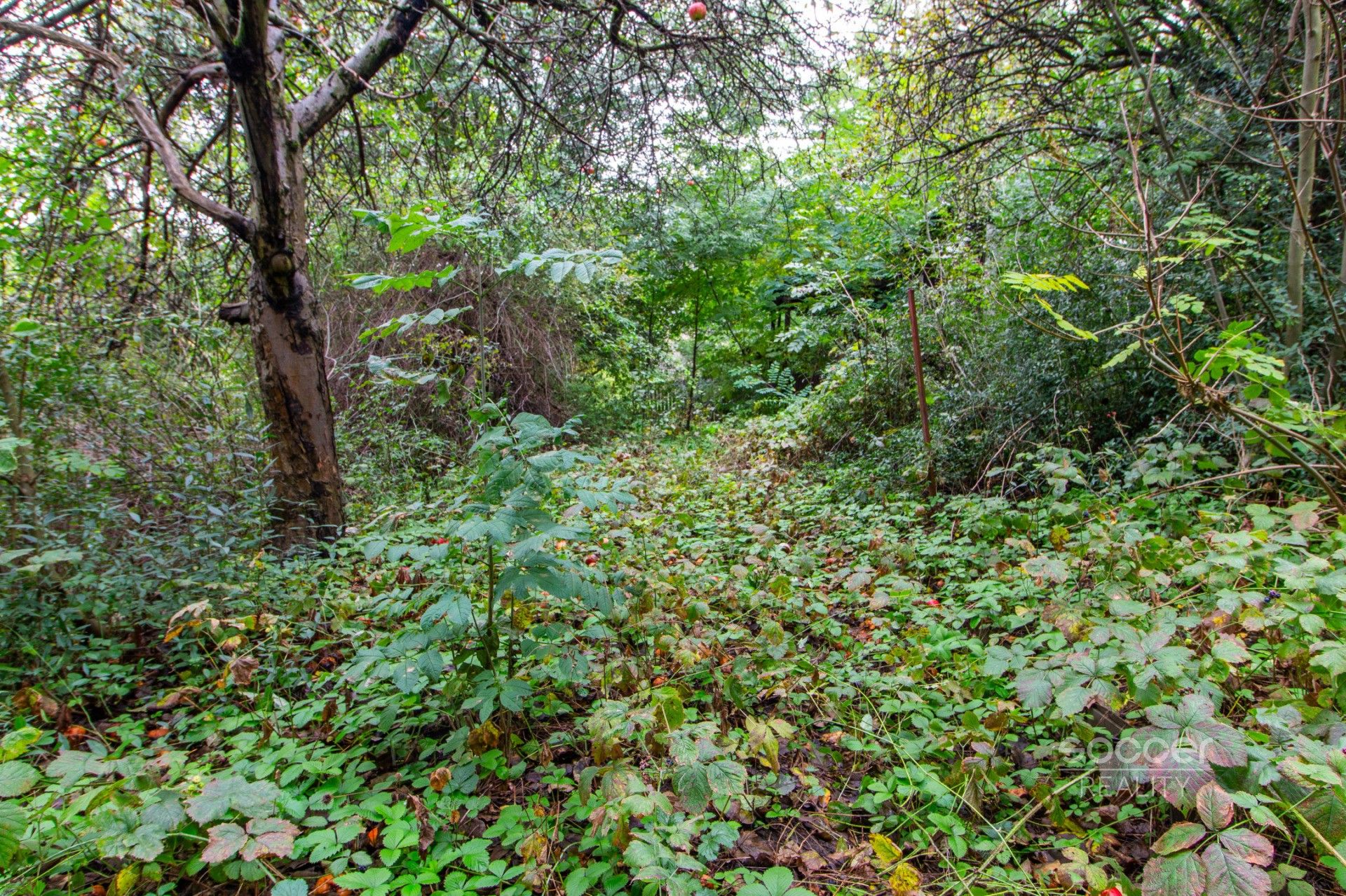 Prodej zahrada - Praha 9, Praha, 644 m²