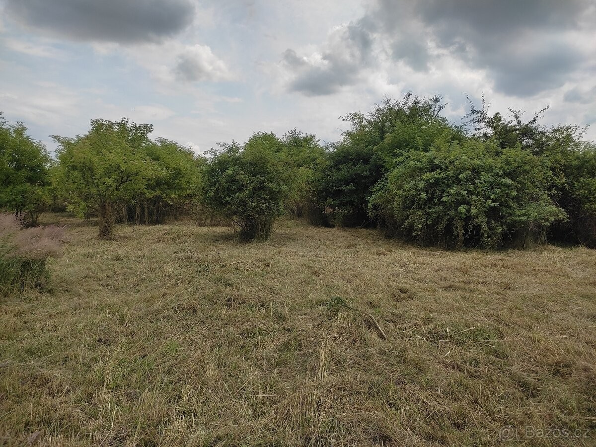 Prodej zahrada - Úžice u Kralup nad Vltavou, 277 45 - 5