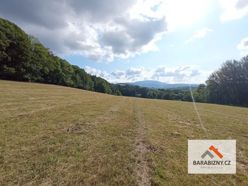 Louka · 50 034 m² · Vrchlabí - 4