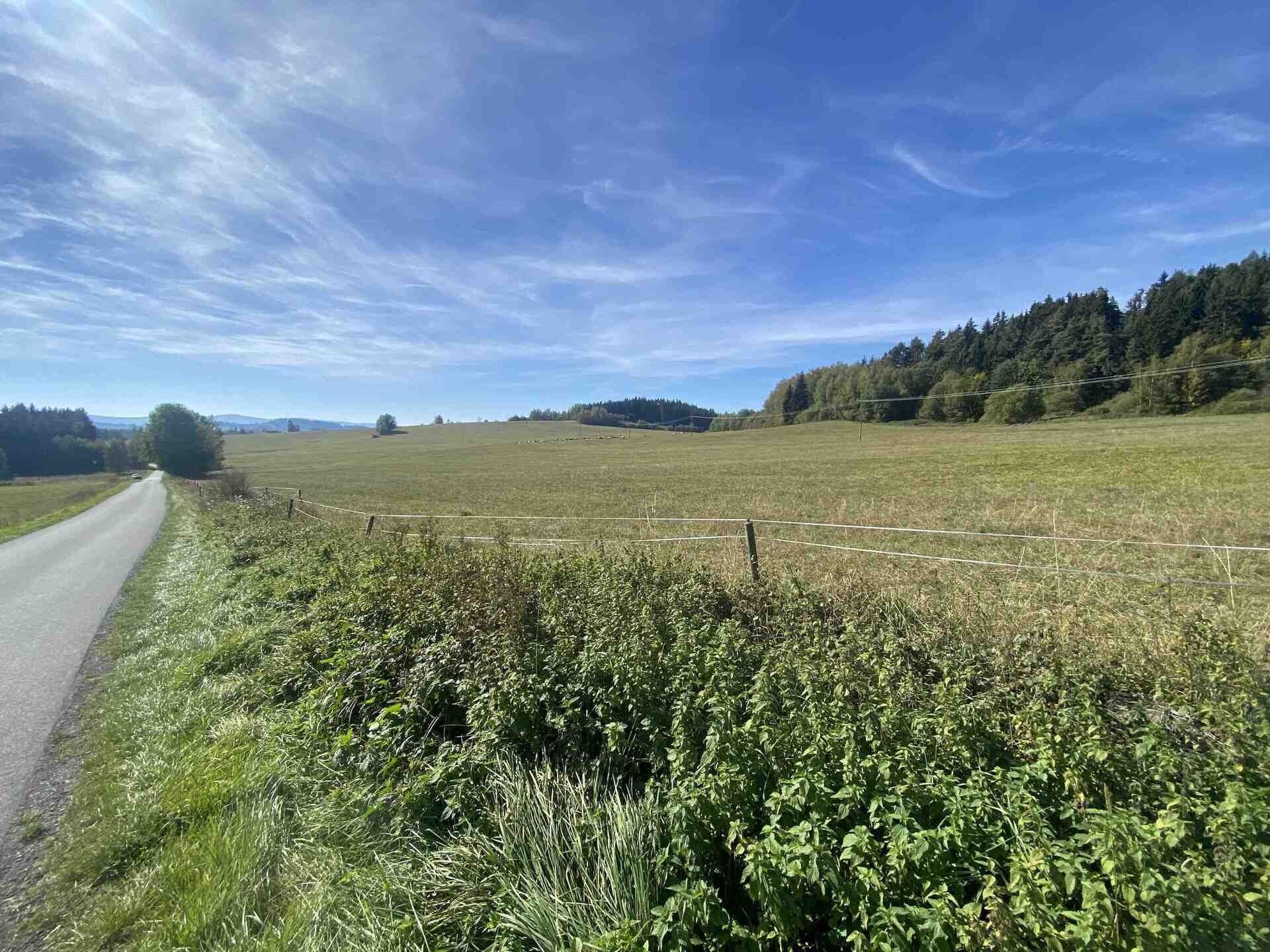 Ostatní, Horní Planá Žlábek, 47 764 m² - 2