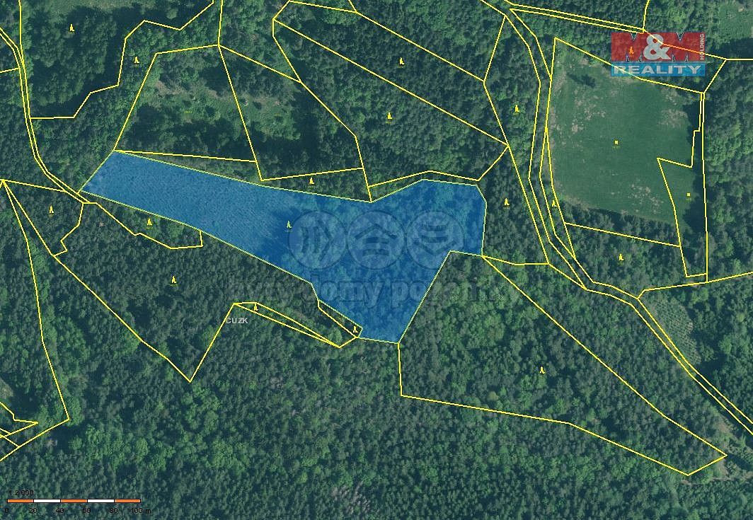 Lesy, Putim, okres Písek, Jihočeský kraj - 2