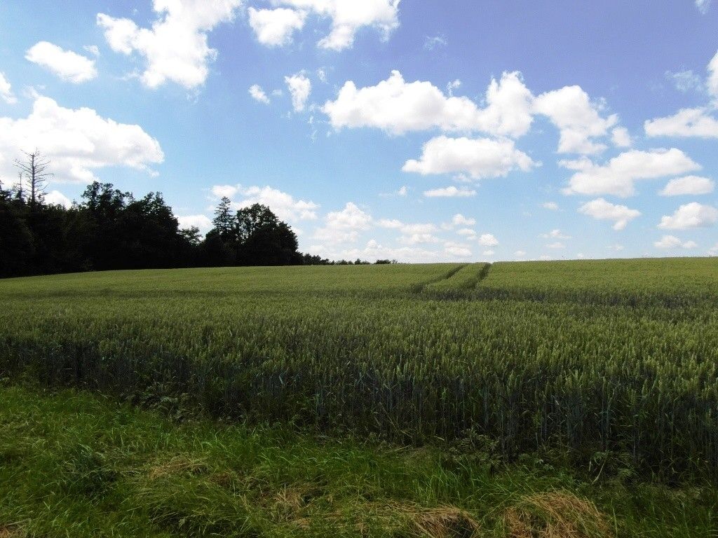 Zemědělské pozemky, Dobruška, 518 01, 14 230 m²