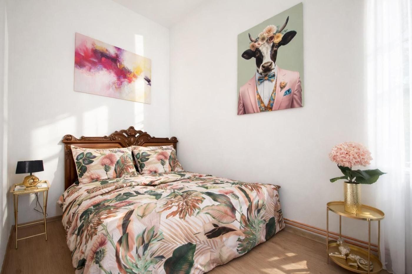 Byty, Horní náměstí a, Olomouc - Olomouc-město, Olomoucký kraj, 30 m²