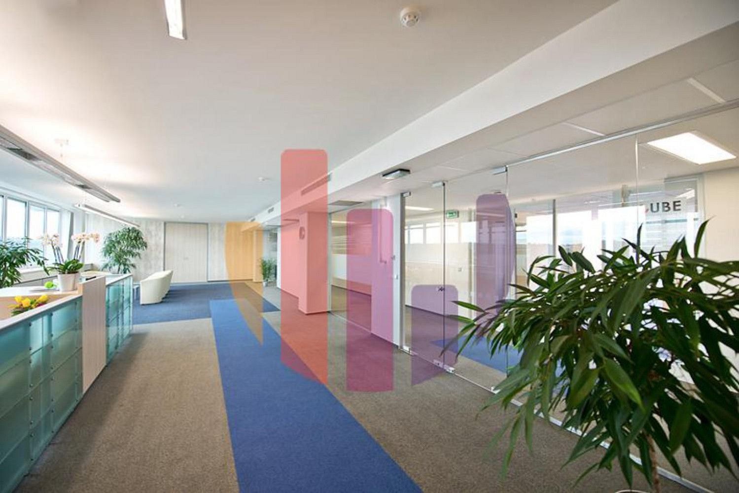 Kancelář · 277 m² · Praha - Vokovice, okres Praha 6, Hlavní město Praha - 4