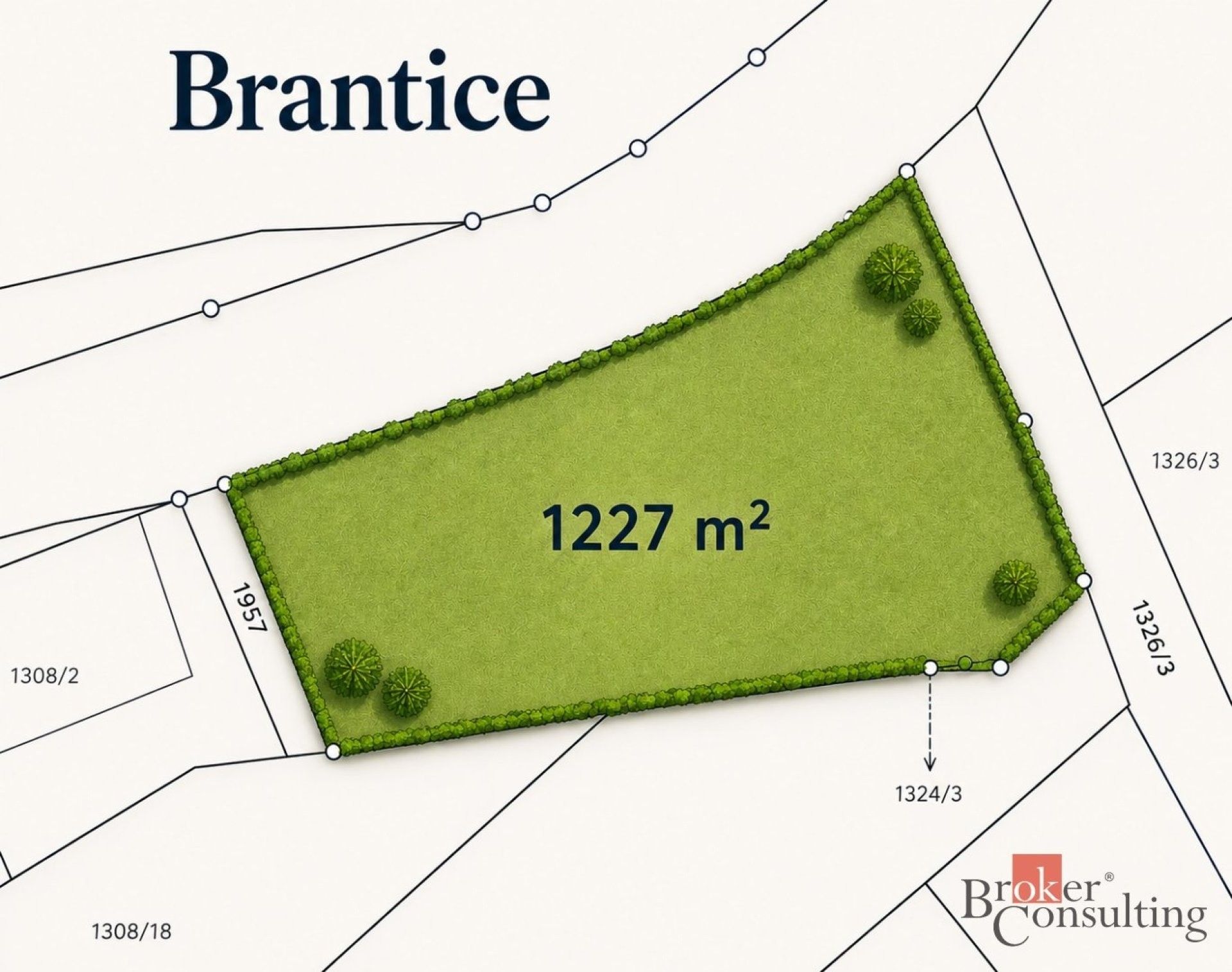 Prodej pozemek pro bydlení - Brantice - 5