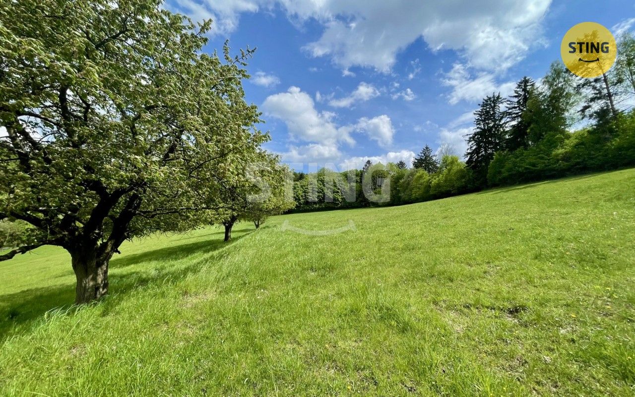 Prodej les - Pěčíkov, Městečko Trnávka, 16 440 m² - 5