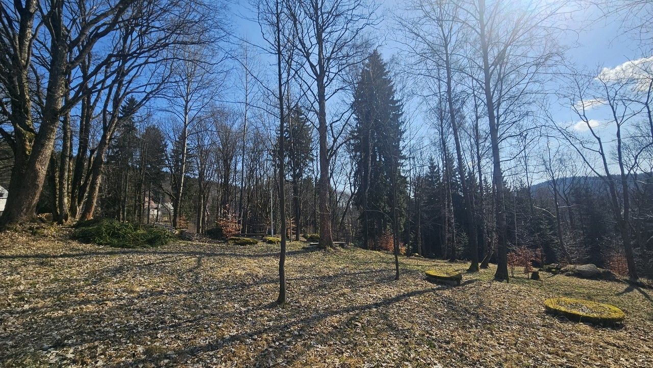 Pozemek pro bydlení · 11 396 m² · Janov nad Nisou - 3