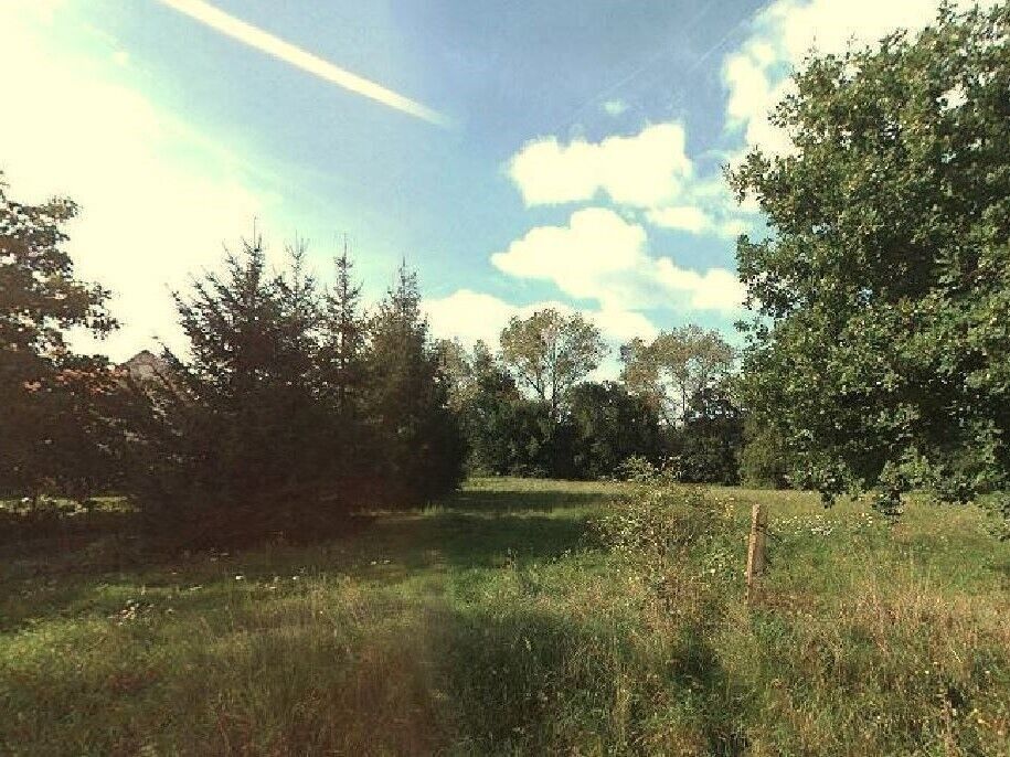 Zemědělský pozemek · 7 221 m² · Čejetice - 4
