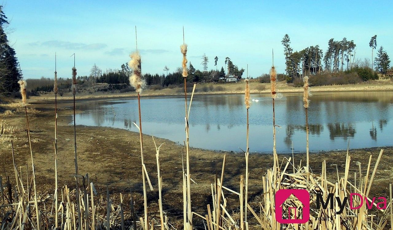 Les · Studenec, okres Třebíč, Kraj Vysočina - 3