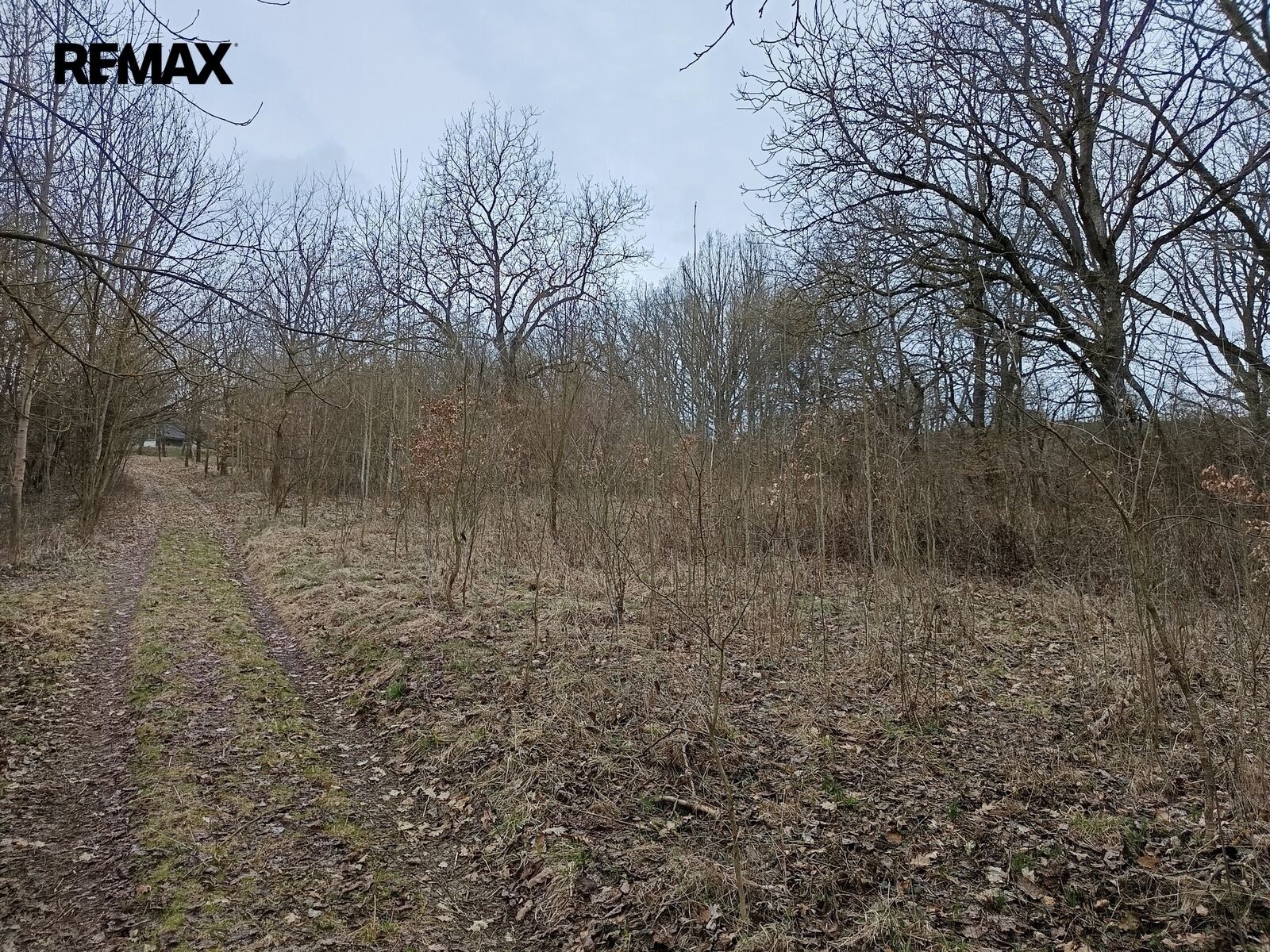 Pozemek · 3 482 m² · Zábřeh - 4