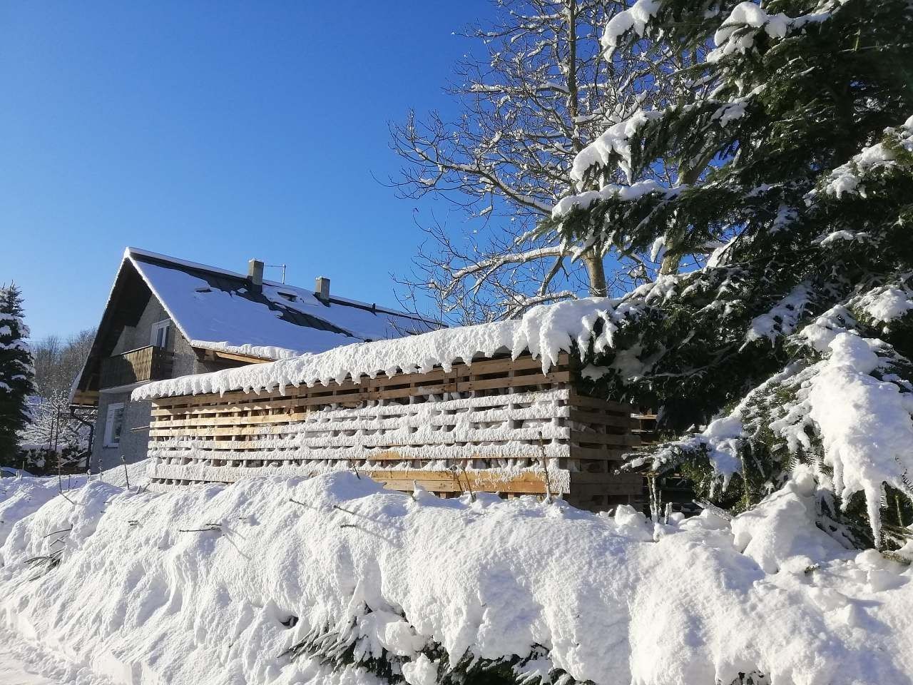 Chata · Červená Voda - Červená Voda, Pardubický kraj - 3