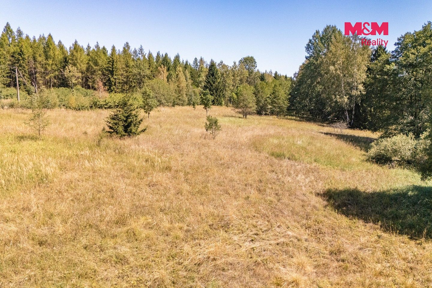 Prodej louka - Bezdružice - Řešín, okres Tachov - 5