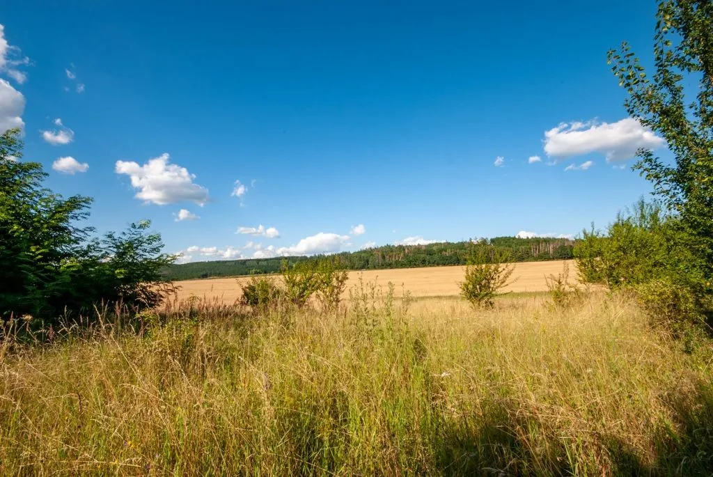 Ostatní