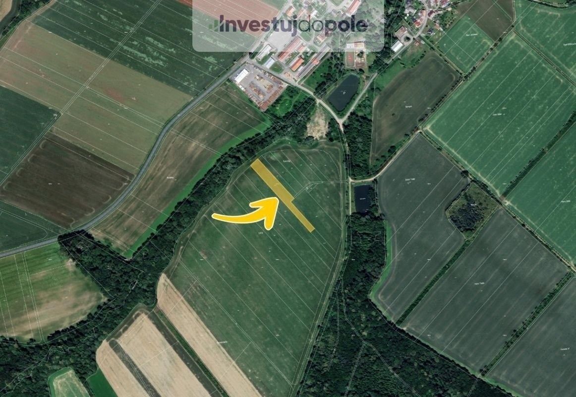 Prodej zemědělský pozemek - Věžky, 1 281 m²