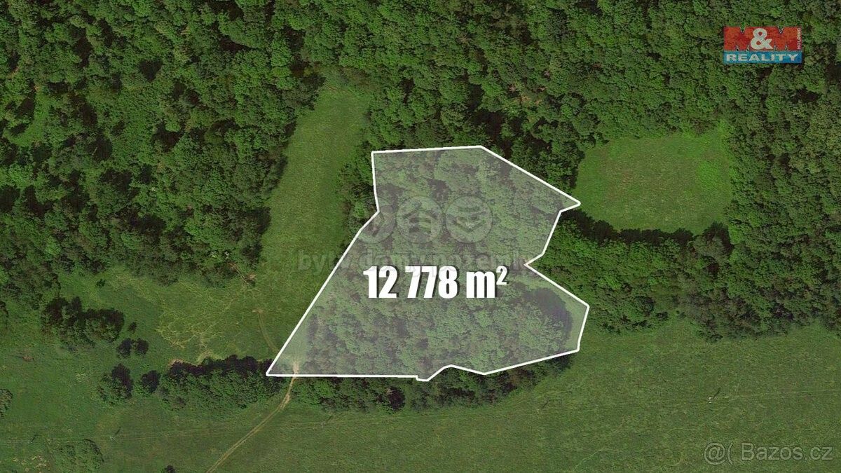 Prodej les - Děčín, 405 02, 12 778 m²