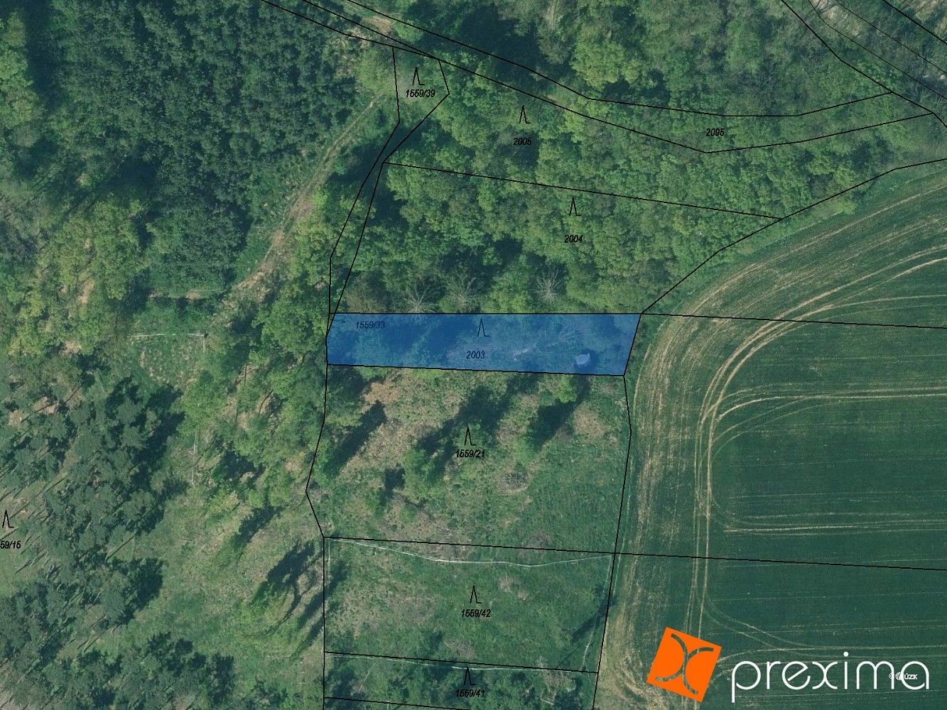 Prodej les - Břasy, okres Rokycany, Plzeňský kraj - 1