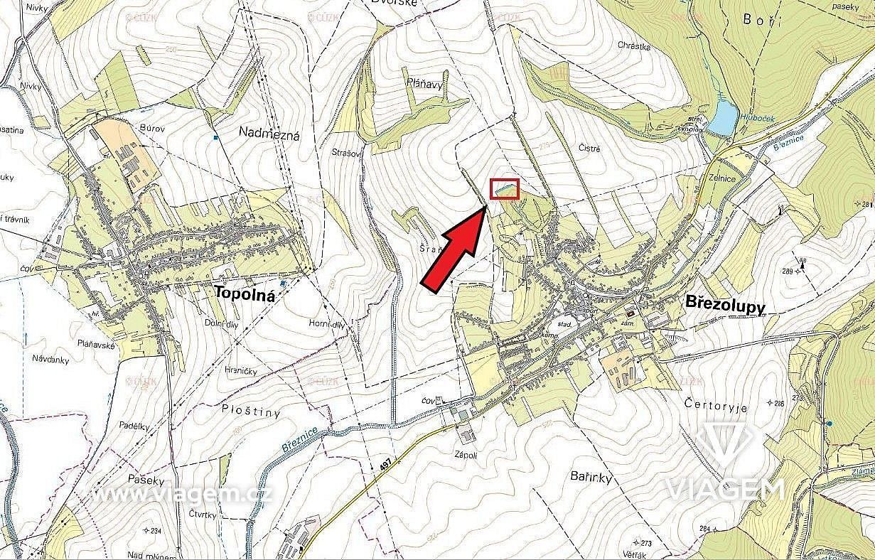 Les · Březolupy, okres Uherské Hradiště, Zlínský kraj - 4