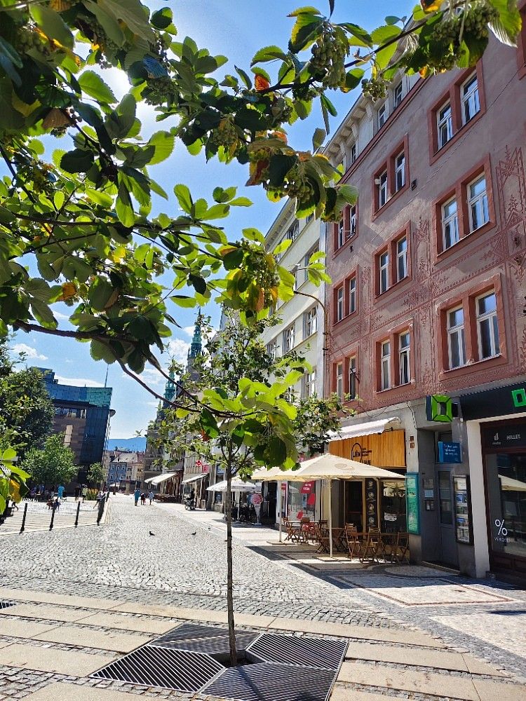 2+kk, Liberec - Liberec I-Staré Město, Liberecký kraj, 58 m² - 2
