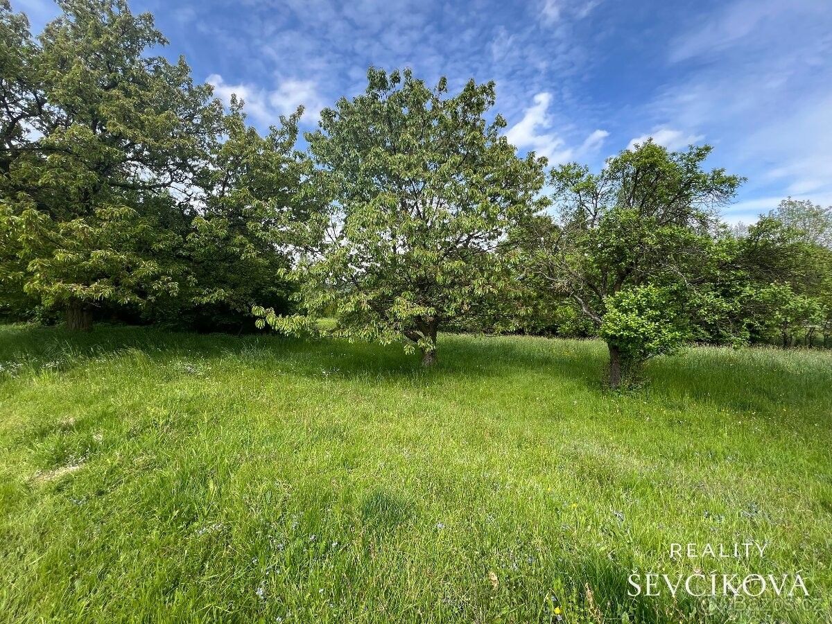 Pozemky pro bydlení, Dvůr Králové nad Labem, 544 01 - 2