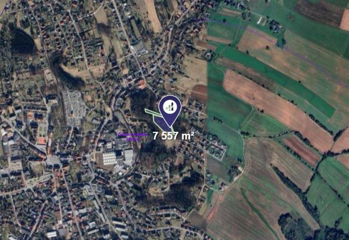 Prodej les - Červený Kostelec, 3 779 m²