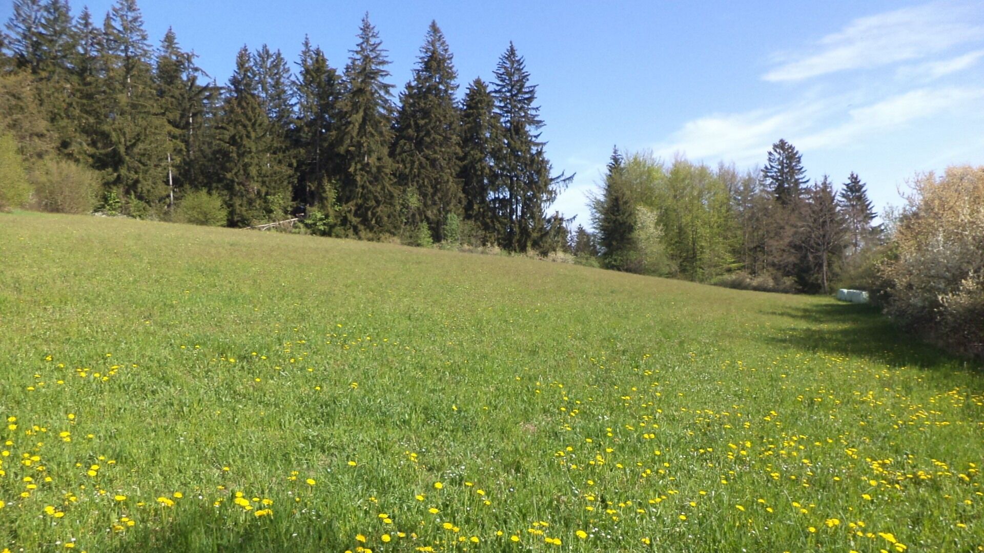 Zemědělské pozemky, Mokrosuky, 9 910 m² - 1