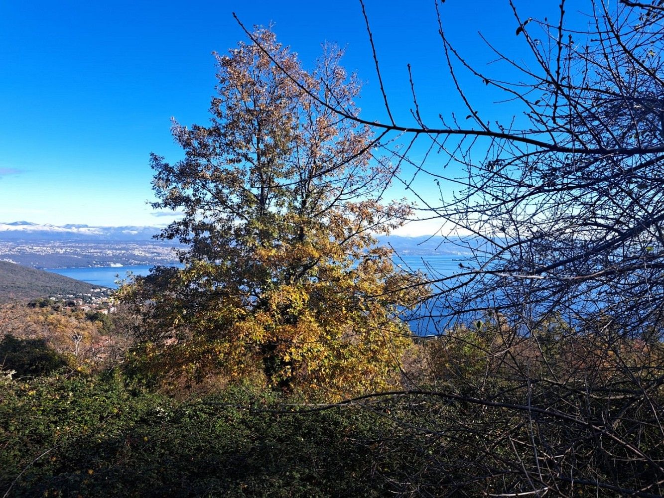 Pozemek pro bydlení · Opatija - Okolica, HR - 3