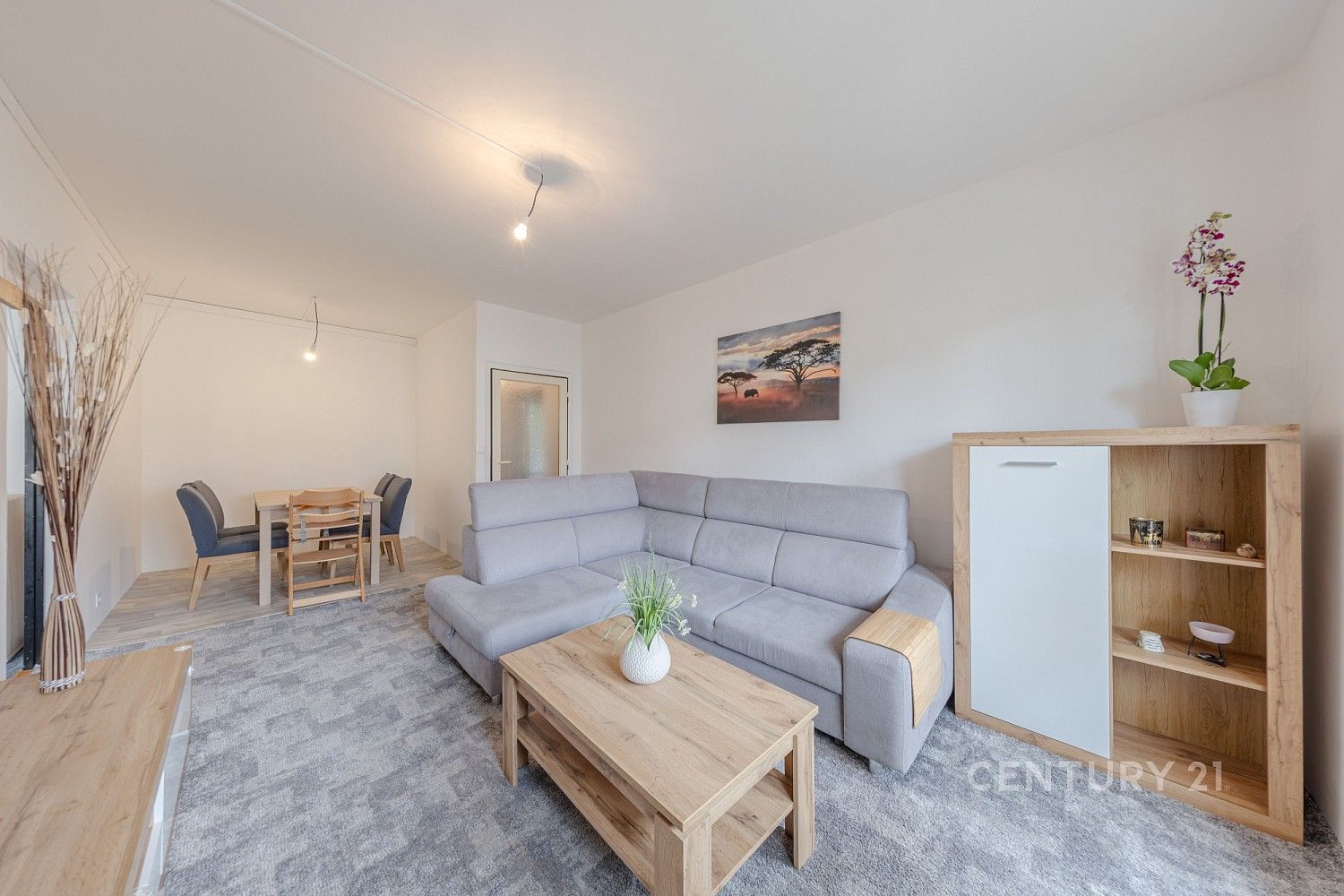 3+1, Prostějov, Olomoucký kraj, 71 m² - 1